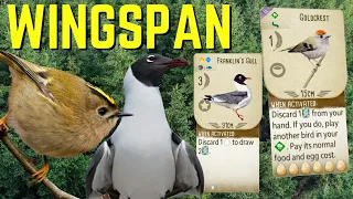 Wingspan Gameplay: Gull Crest Masterclass