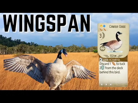 Wingspan: You're Gonna Scream