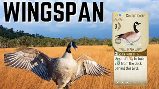 Wingspan: You're Gonna Scream