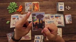 How to Play Tourist the board game