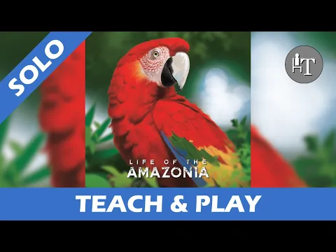 Tutorial& Solo Playthrough of Life of the Amazonia - Solo
