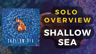 Shallow Sea Board Game Solo Overview | DaniCha