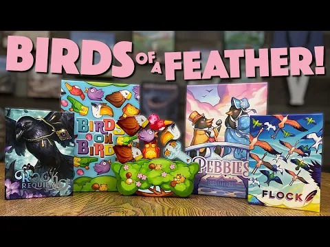 Birds Series Preview - Come Fly With Us!