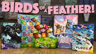 Birds Series Preview - Come Fly With Us!