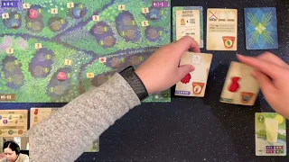 Solo Playthrough of Herbaceous Sprouts