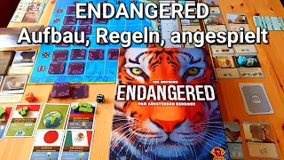 ENDANGERED, Vom Aussterben bedroht // #brettspielvibes