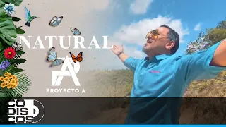 Natural, Proyecto A - Vídeo Oficial