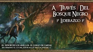 01 A TRAVÉS DEL BOSQUE NEGRO-LIDERAZGO