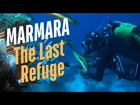 youtube-video-thumbnail