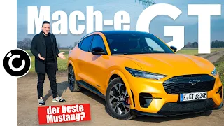 der BESTE MUSTANG? elektro Mach-E GT im Alltagstest