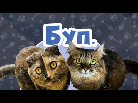 Відеоправила від каналу "Карти на стіл"