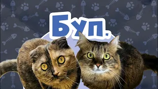 Відеоправила від каналу "Карти на стіл"