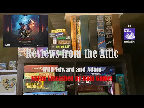 Ninjas Unleashed - Unboxing & Review - Reviews from the Attic