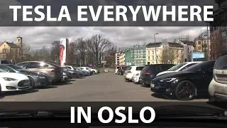 Rambling: Teslas everywhere in Oslo!
