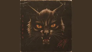 9 Lives (Black Cat)