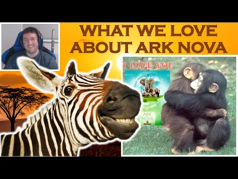 What we Love and Hate About Ark Nova