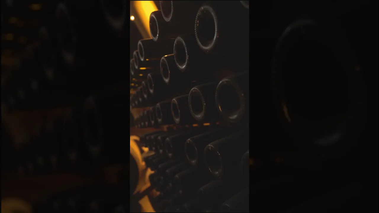 Video de Bournett