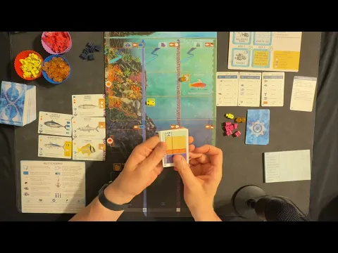Finspan Solo Gameplay - Celebrate Sharks and Reefs Expansion News