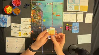 Finspan Solo Gameplay - Celebrate Sharks and Reefs Expansion News
