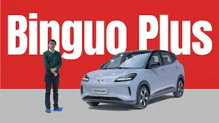 BYD Dolphin‘s $12.5k Head-on Rival - Wuling Binguo Plus Static Review