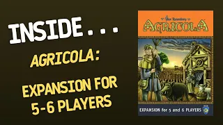 Inside...Agricola: 5-6 Player Expansion for Board Game (4K)