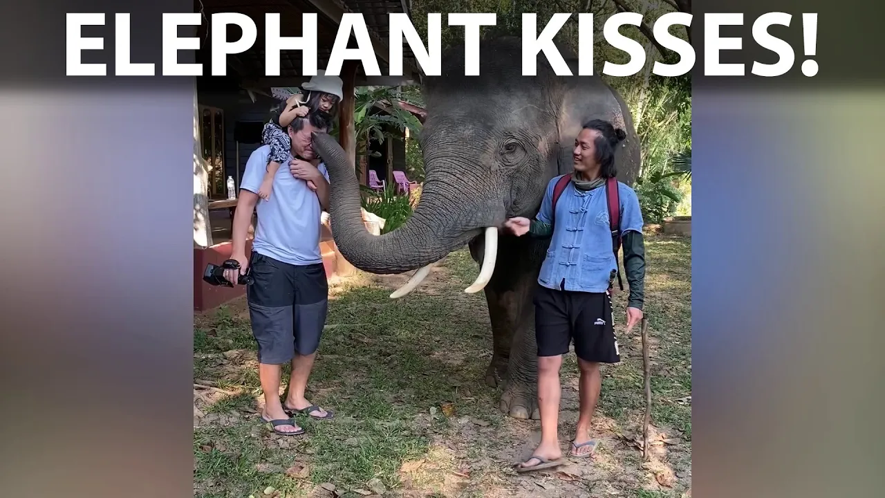 GAC Aion ES Family trip to Chiang Mai day 3