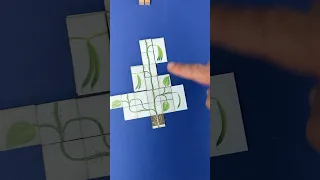 Vine! A Puzzly Tile-Laying Game #boardgames #games #tabletopgames #gamenight #puzzle #puzzlegame