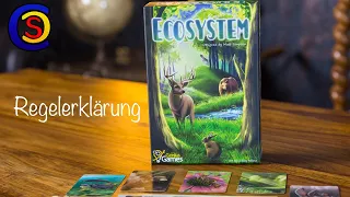 Brettspiel ECOSYSTEM - Regelerklärung