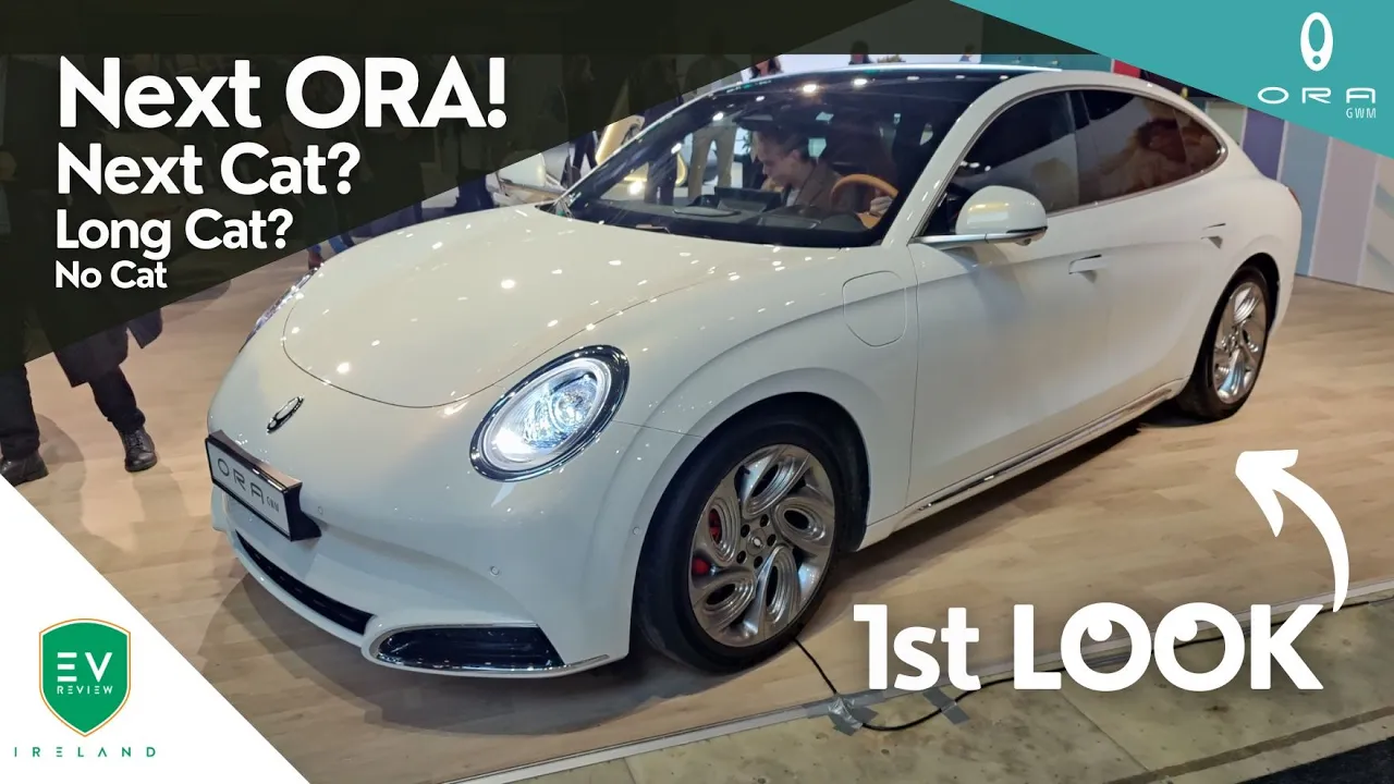 Next ORA 1st Look! Next Cat, Long Cat or No Cat?