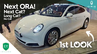 Next ORA 1st Look! Next Cat, Long Cat or No Cat?
