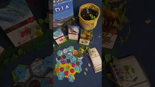Cascadia Board Game Showcase #cascadiaboardgame #flatoutgames #boardgames #tabletopgaming