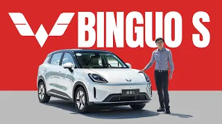 Only China's 2nd-Best Budget EV - Wuling Binguo S Review