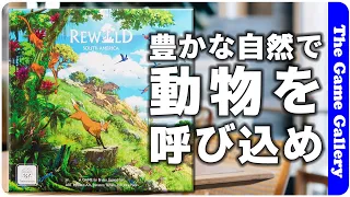 【Rewild: South America】アクションカードを活用して手元の自然を豊かにし・草食・肉食・植物豊かな大地を作り上げろ / ボードゲーム レビュー