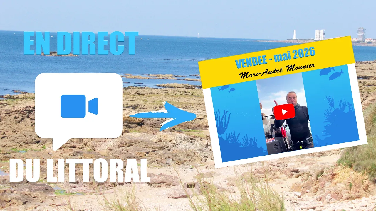 Vignette de la vidéo
