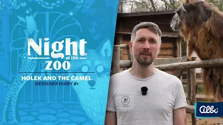 Night at the Zoo - Designer Diary #1 - Holek and the Camel
