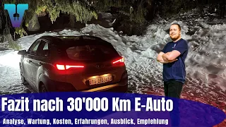 Fazit nach 30'000 Km Elektroauto - Analyse in 10 Punkten [Deutsch 4K] | Vision E Drive #65