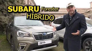 AL VOLANTE del PRIMER HIBRIDO de SUBARU, el FORESTER HYBRID: ¿Es Subaru la nueva Volvo?