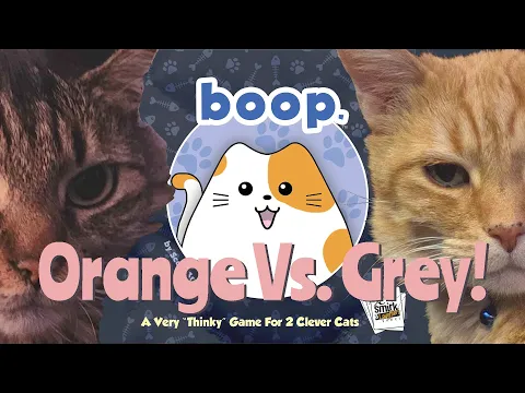 Let's Play: Boop With Fidget and Leroy