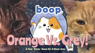 Let's Play: Boop With Fidget and Leroy