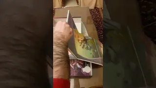 Unboxing Cerebria: The Inside World (No Talking)
