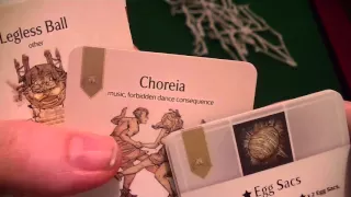 Kingdom Death Expansion: Spidicules unboxing