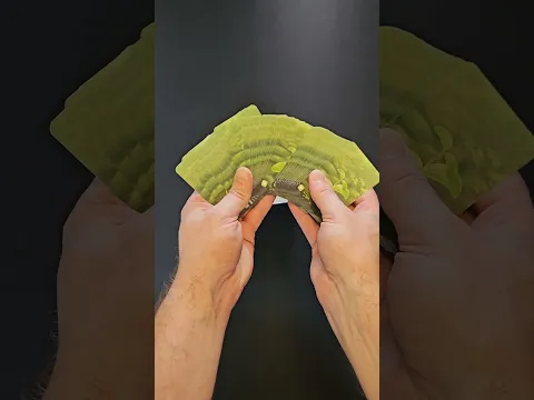 Forest Shuffle Alpine - Unboxing