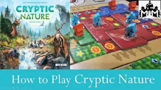 How to Play Cryptic Nature