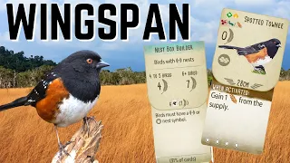 Wingspan: Rising From The Dead