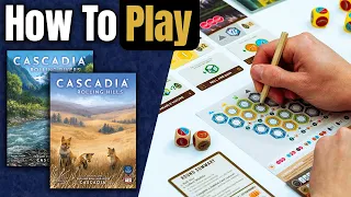Cascadia Rolling Rivers and Hills | How to Play | Learn to Play in 13 Minutes!