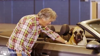 Dogs Can Drive Cars!? | Top Gear Live UK