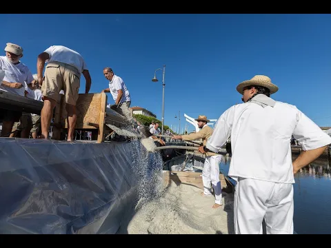 Youtube Preview