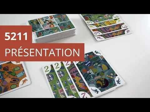 5211 - Présentation du jeu