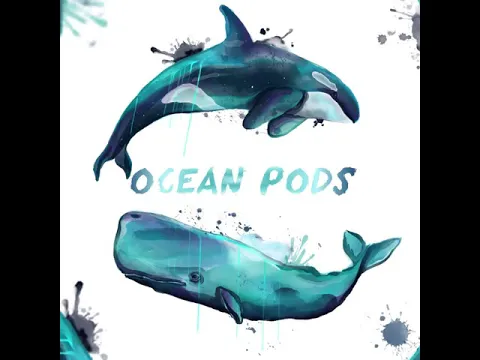 Ocean Pods - Coming Soon Preview