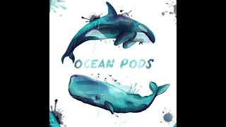 Ocean Pods - Coming Soon Preview